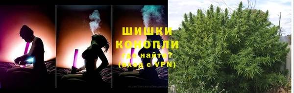 PSILOCYBIN Бугульма